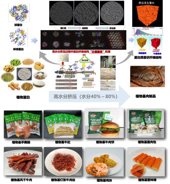九游娱乐：我国77项发明斩获日内瓦国际发明展金奖 食品领域植物基肉制品关键技术创新成果位列其中(图4)