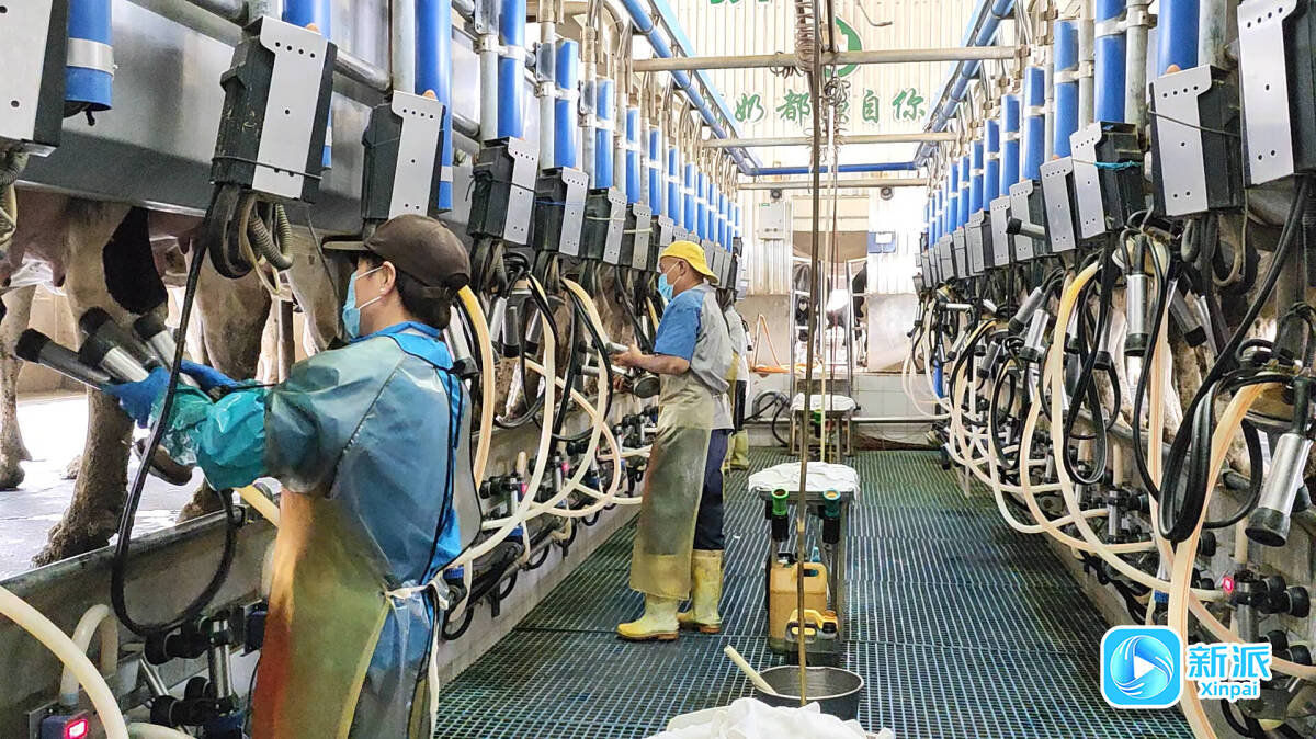 安丘市郚山镇：践行大健康理念打造健康食品产业新高地(图1)