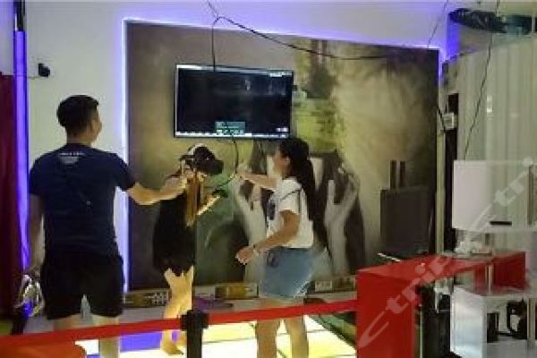 当VR技术“开进”文化街区 “数字+文旅”体验再上新(图1)