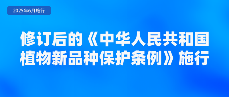九游娱乐：不得将刷脸作为唯一验证方式、首部学前教育法上线月新规(图5)