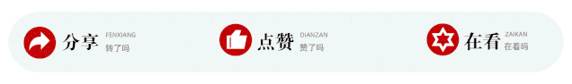 九游娱乐：2025 ESTS 名家齐聚布达佩斯共探胸外诊疗新突破(图9)