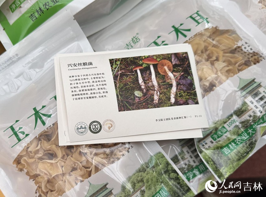 九游app入口：行进中国｜小菌菇的“七十二变”(图5)