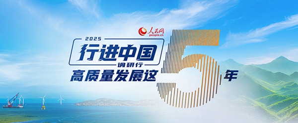 九游app入口：行进中国｜小菌菇的“七十二变”(图8)