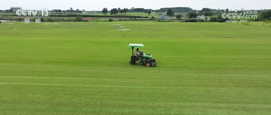 “新引擎”轰鸣、“新赛道”拓宽、场景”涌现 从”透视经济发展劲头(图25)