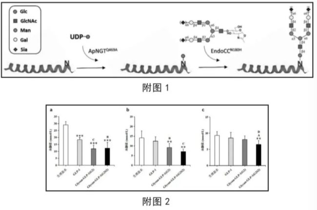 河北科技大学专利发布(第五十期)(图3)