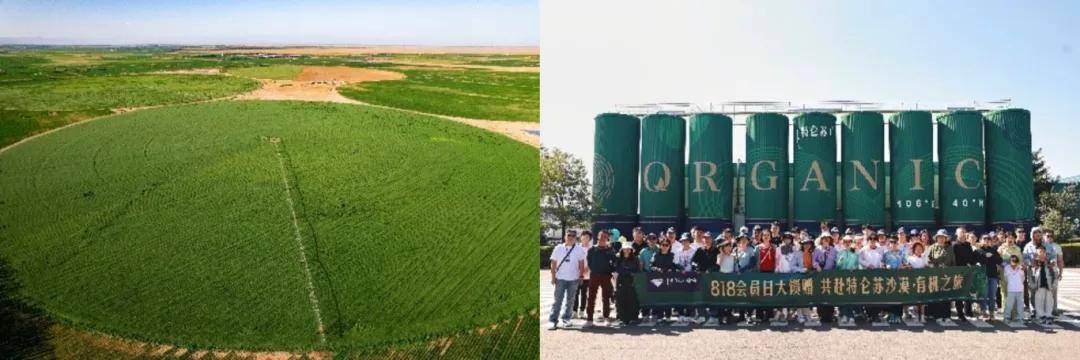 九游app入口：逆势增长的蒙牛做对了哪些事(图8)