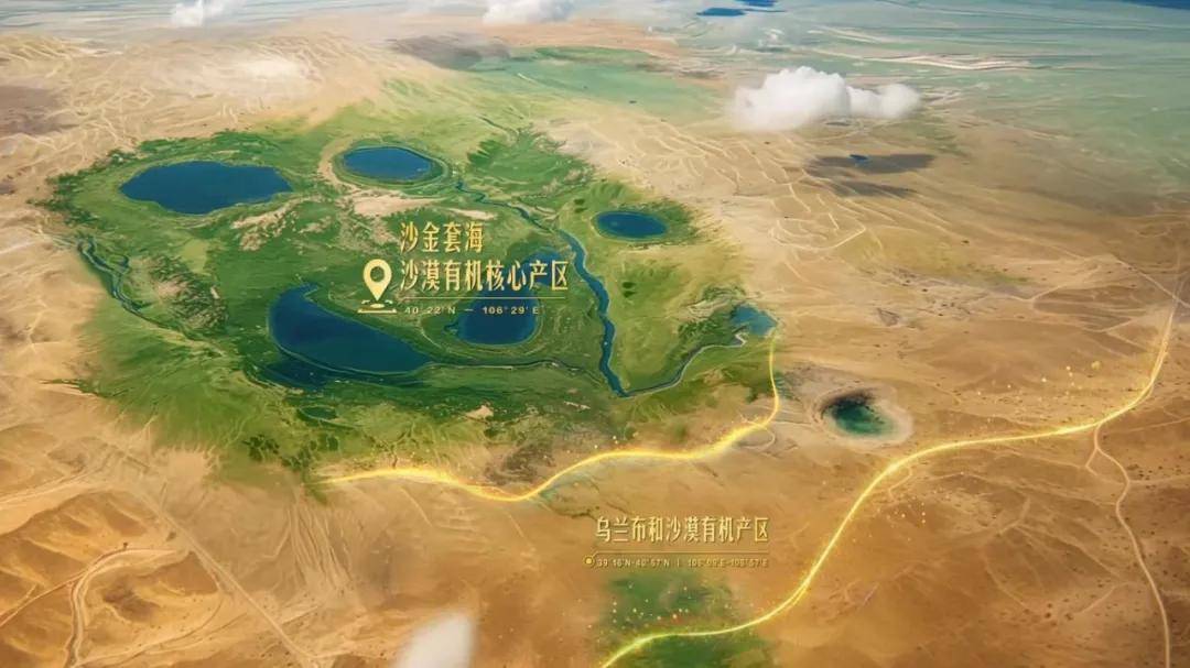 九游app入口：逆势增长的蒙牛做对了哪些事(图15)