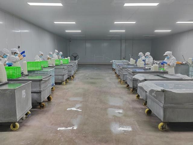 四川苍溪：赶订单火力全开 忙生产干劲十足(图3)