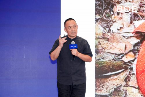 BOE IPC·2025 超高清数字产业峰会论坛：超清视界 焕新未来(图8)