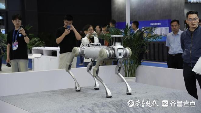 满满都是“黑科技”！2025中国国际消费电子博览会开幕(图5)