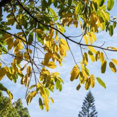 食品专业有哪些专利类型(图2)