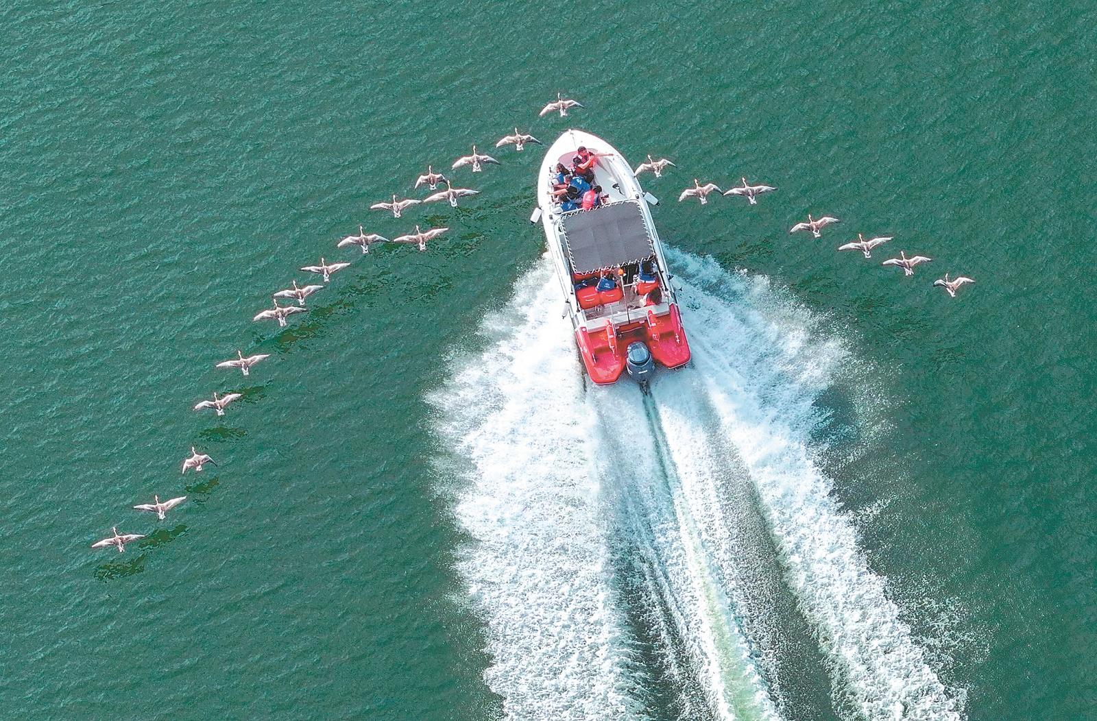九游娱乐：45°瞰安徽 新场景燃动新消费(图6)