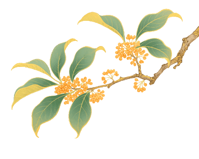 文旅市场活力迸发八方游客心有所“蜀”(图3)