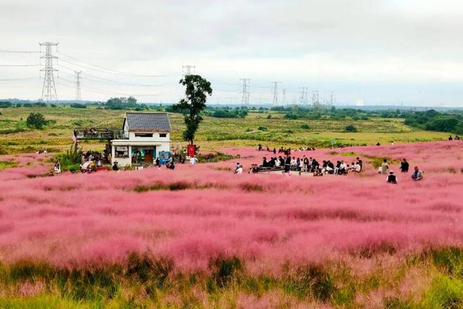 文旅市场活力迸发八方游客心有所“蜀”(图6)