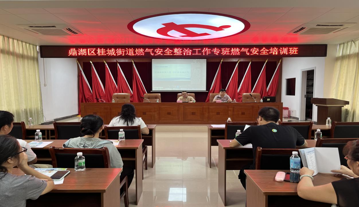 九游app入口：新奥能源广东区域以责任担当书写能源事业高质量发展答卷(图2)