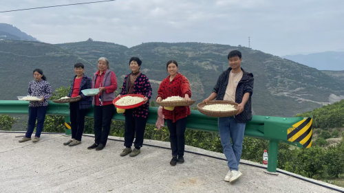 九游娱乐：科技赋能柑桔产业 实现“变废为宝”新突破(图2)