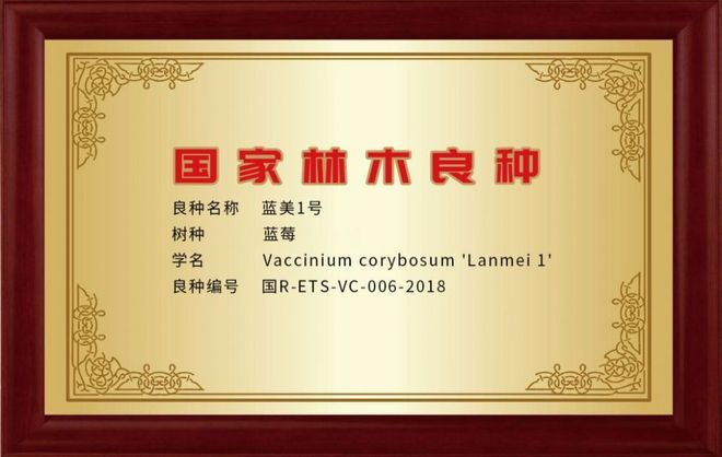 九游娱乐：蓝美股份千万收购专利技术VitaCyan引领功能添加领域新突破(图2)
