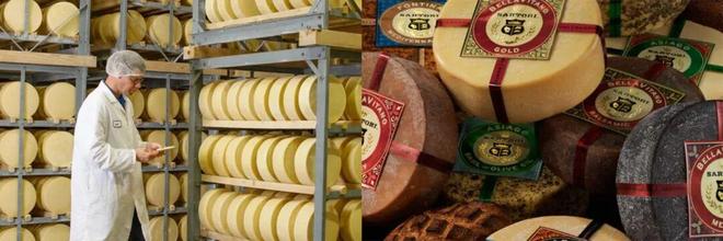 九游app入口：年底“王炸级”餐饮展来袭！50+国际展团3000+展商暗藏2026餐饮新风向！(图9)