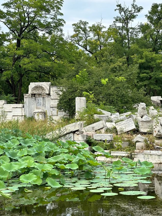 去北京五日跟旅行团分享北京5天4晚旅游必去景点不走回头路(图2)