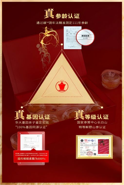 秋冬滋补首选小参尊：百年野山参的科技新生开启透明滋补新时代(图2)