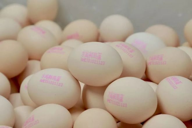 机器人掌勺10分钟搞定1500人饭菜！北京中小学268个智慧食堂来了(图7)