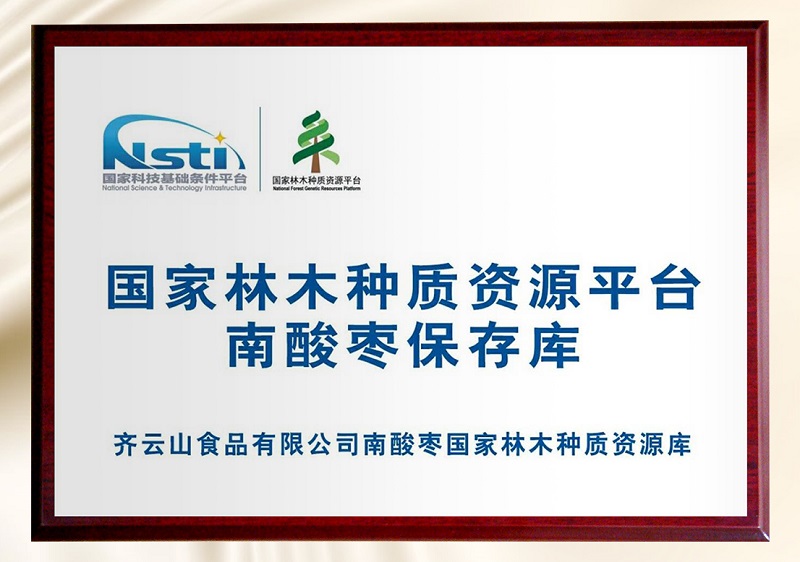 齐云山获“中国南酸枣食品销售额第一”市场地位确认证书(图4)