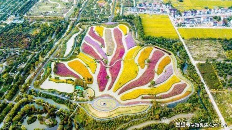 国印东方-上海金山国印东方售楼中心 () -楼盘评测-地铁通勤-户型-价格‖(图22)