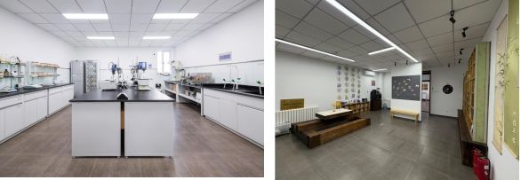 九游娱乐：砥砺创新之翼 铸就卓越之魂：营养源所新增荣誉资质(图4)