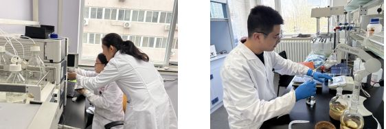 九游娱乐：砥砺创新之翼 铸就卓越之魂：营养源所新增荣誉资质(图5)