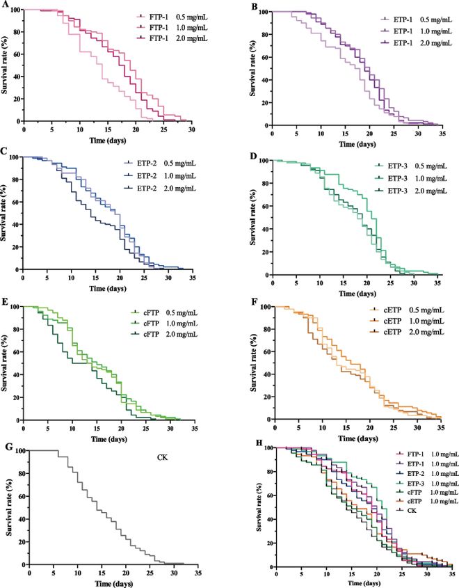 APPS 银耳子实体多糖vs银耳芽孢多糖：谁才是抗光老化的“王者”(图1)