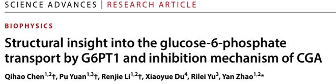 九游app入口：Sci Adv丨赵岩团队揭示人源葡萄糖-6-磷酸转运蛋白G6PT1的结构与抑制机制(图1)