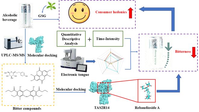 第三届未来食品科技创新国际研讨会-冯涛教授：葡萄糖基甜菊糖苷对酒精饮料的苦味抑制及机制研究(图1)
