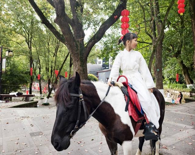 四川泸州忠山公园“游三国”闹元宵 市民沉浸式体验“银票”换骑马(图3)
