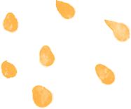 九游app入口：青鸟计划丨东营区2026年寒假“返家乡”社会实践开始啦~快来报名！(图1)