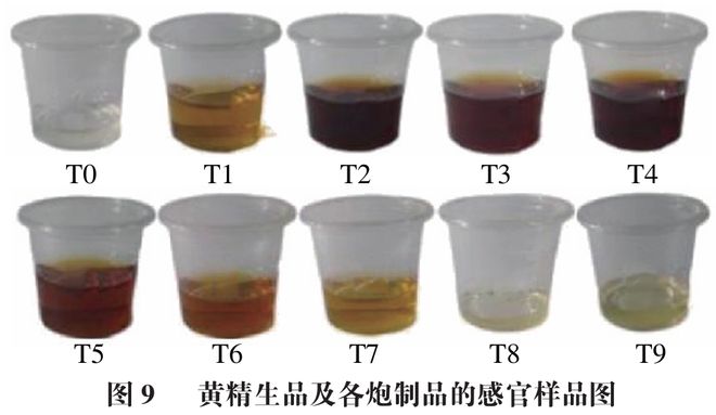 《食品科学》：华南理工大学王娟副研究员等：九蒸九制对黄精多糖和刺激性成分含量的影响及评价指标构建(图8)