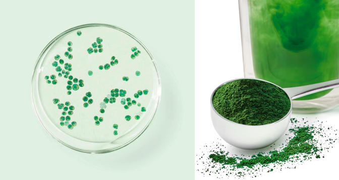 知润拌菜：以食品科技创新赋能农产品加工书写青年助农新答卷(图1)