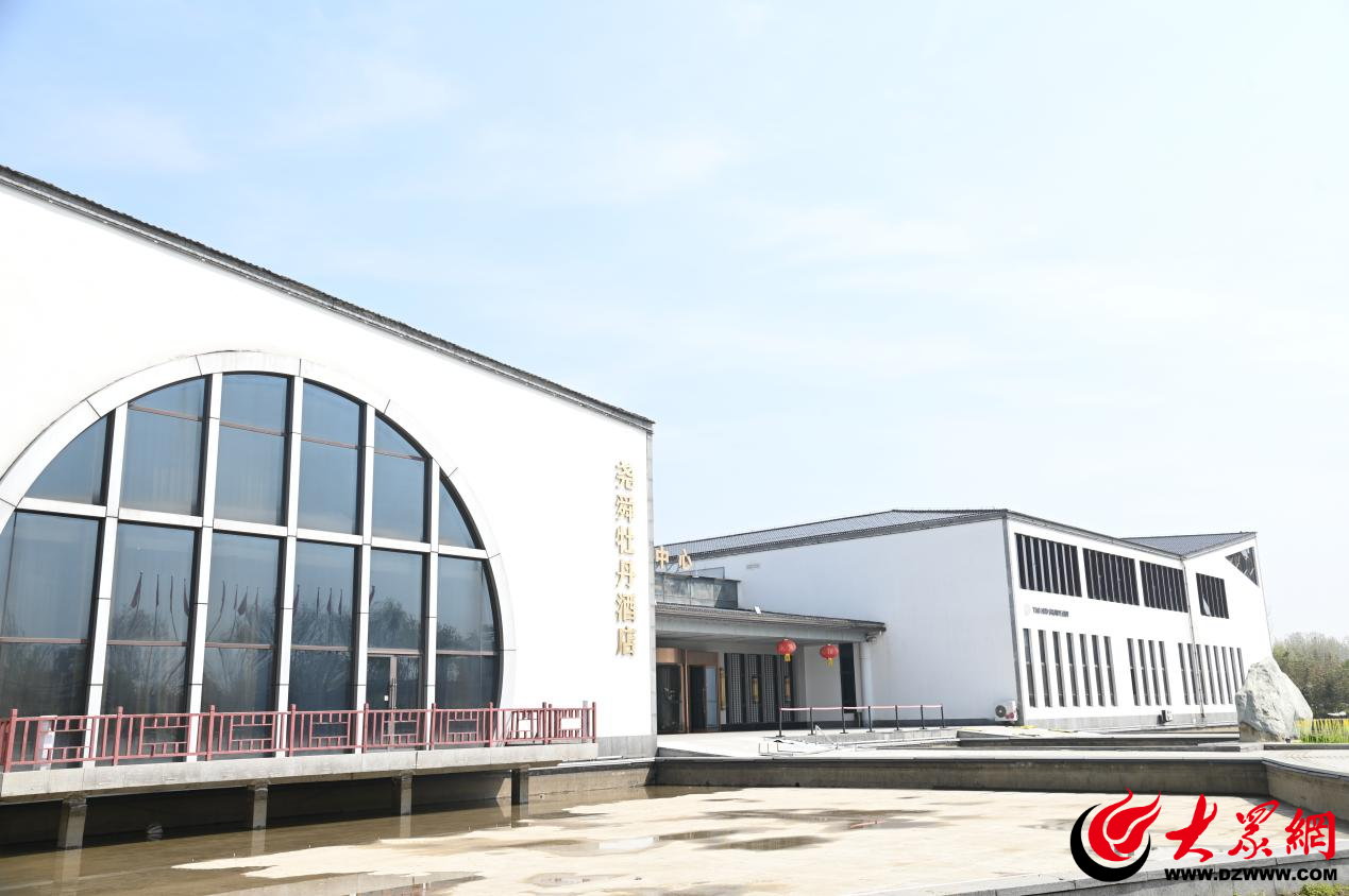 菏泽尧舜牡丹园：你意想不到的“宝藏景区”_菏泽新闻_大众网(图4)