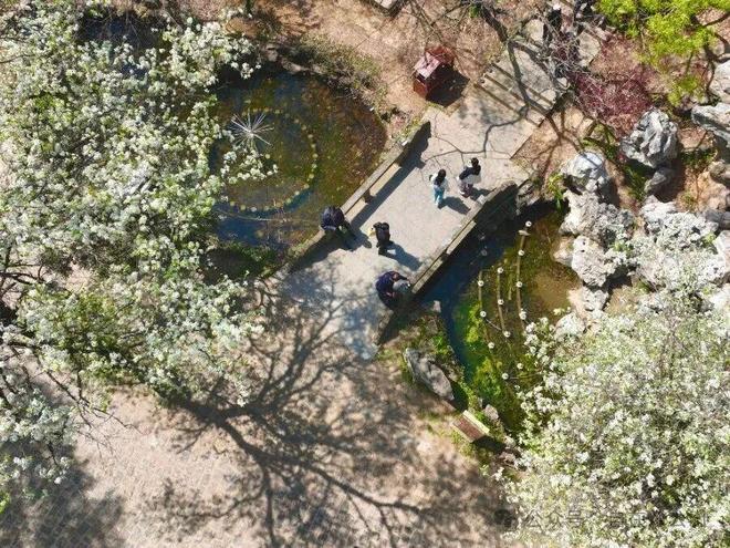 春假遇清明怎么玩？淮南假日游超全福利攻略上新！(图12)