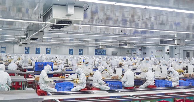 九游娱乐：领航食品：科技赋能打造乡村振兴“新引擎”丨“中国梦·劳动美”系列报道⑥(图6)