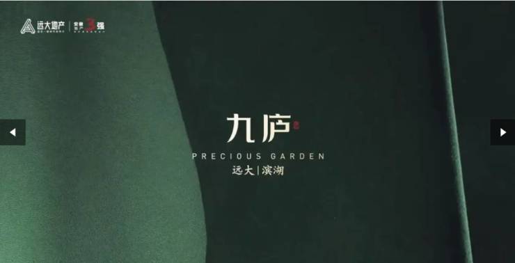 合肥远大九庐售楼电线楼盘单价-总价-低密独栋-购房优惠公示(图4)