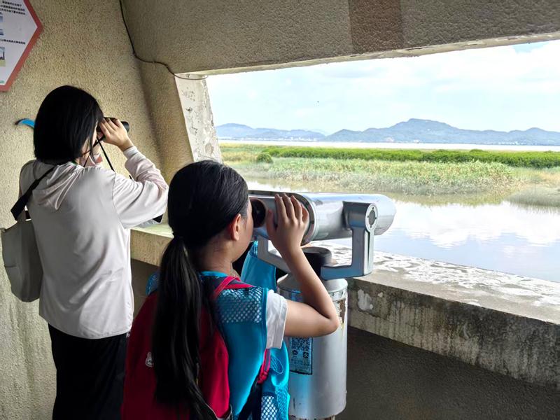 在沉浸式科普中读懂湿地之美闽江河口生态科普“活”起来(图2)