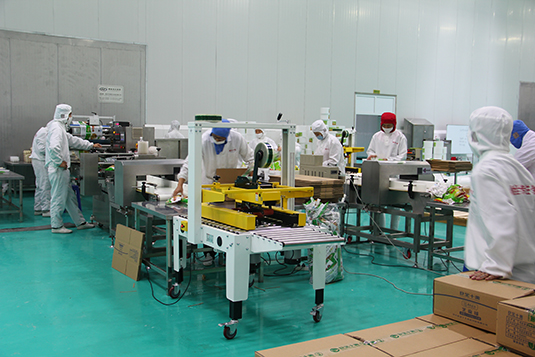 九游app入口：“践行大食物观科技赋能园艺产业”学术研讨会在榕举行(图1)