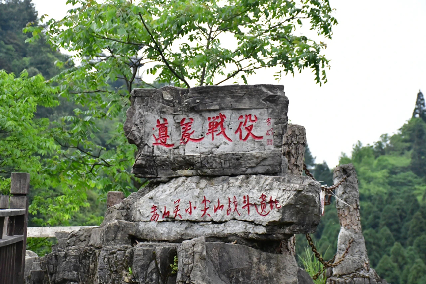 守护革命根脉让红色文化“活”起来(图4)